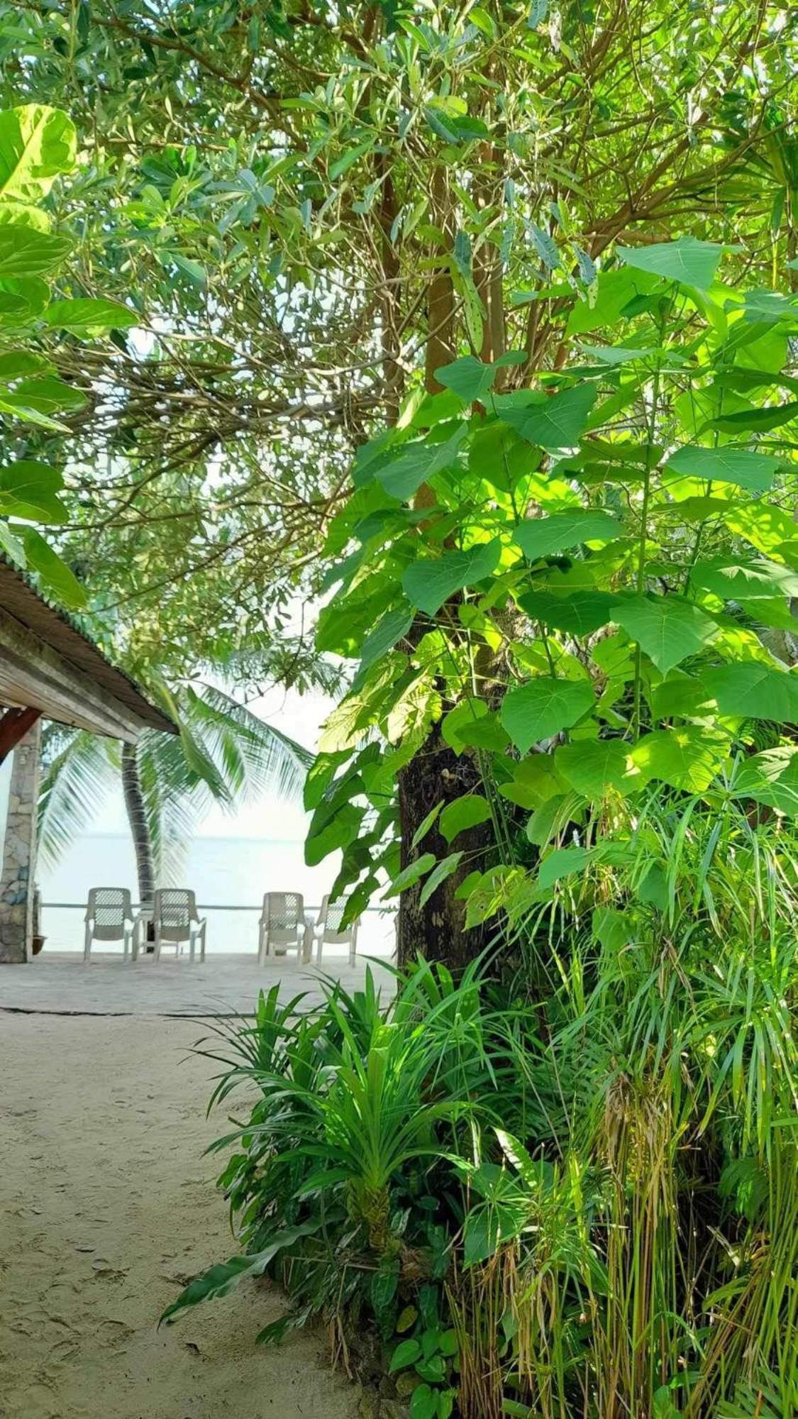 באן למי Beer'S House Bungalows เบียร์เฮ้าส์บังกะโล מראה חיצוני תמונה